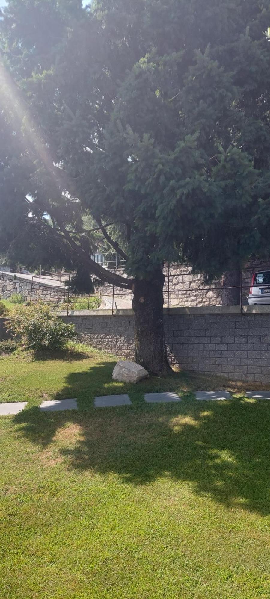 Casa Vacanze Perla Del Lago Domaso Exterior foto